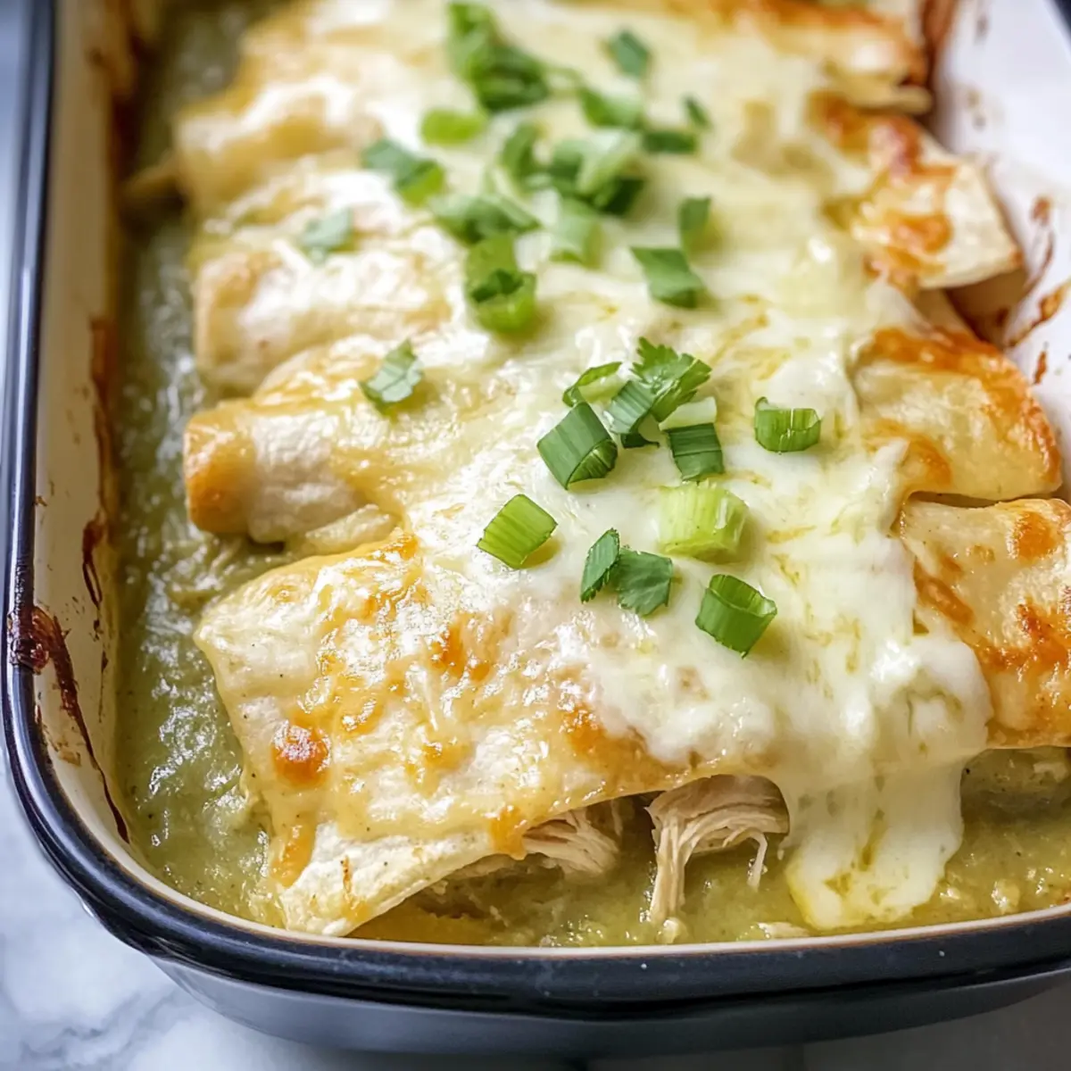 Slow Cooker Green Chicken Enchiladas Recipe tnuayn